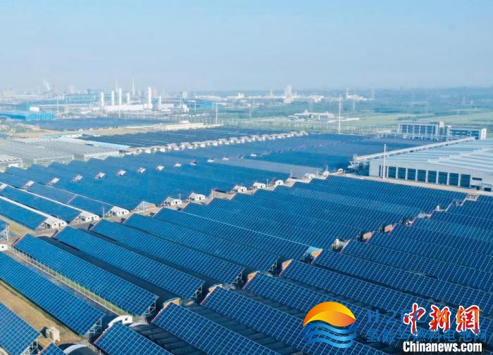 光伏&ldquo;綠電&rdquo;制氫。　王建先 攝